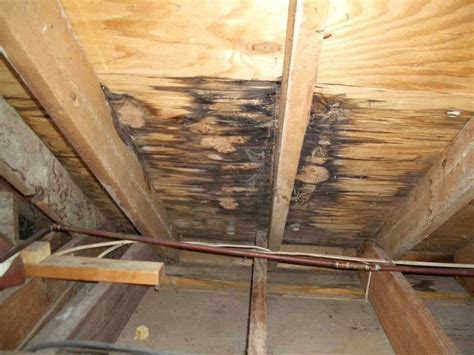 Roof leak. Things To Know About Roof leak. 